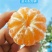 【畅销榜】蜜橘🍊湖北蜜橘成熟蜜桔皮薄味甜货源充足