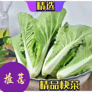 【优质精品】快菜，诚信经营，实力代办欢迎前来选购