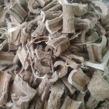 赶风柴～刁了棒～新货～量大优惠～1公斤起售～
