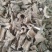 赶风柴～刁了棒～新货～量大优惠～1公斤起售～