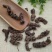 中药材缬草根蜘蛛香蜘蛛香根马蹄香新叶缬草光缬草