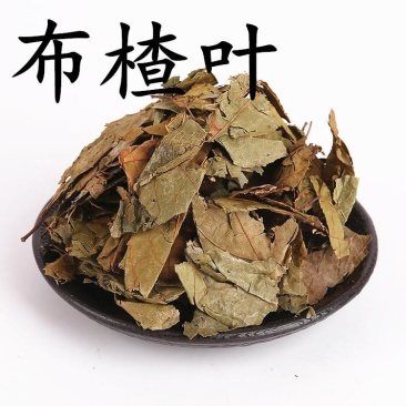 中药材布渣叶蓑衣子破布叶麻布叶实体店铺