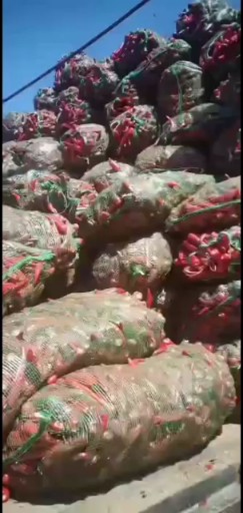 北京红大量有货需要的联系，量大质量好起车快