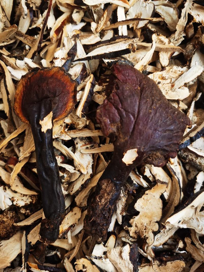 正品，西藏金边白心灵芝，纯野生新货，品质保证