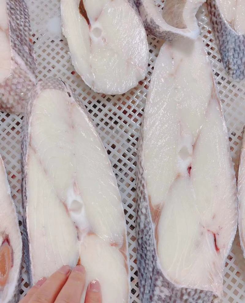 龙鳕鱼，6/7/8/9/10上海现货批发