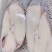 龙鳕鱼，6/7/8/9/10上海现货批发