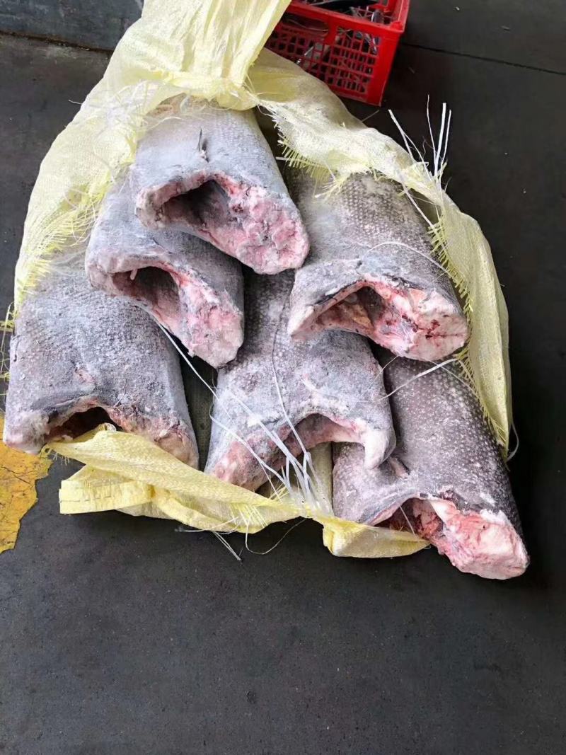 龙鳕鱼，6/7/8/9/10上海现货批发
