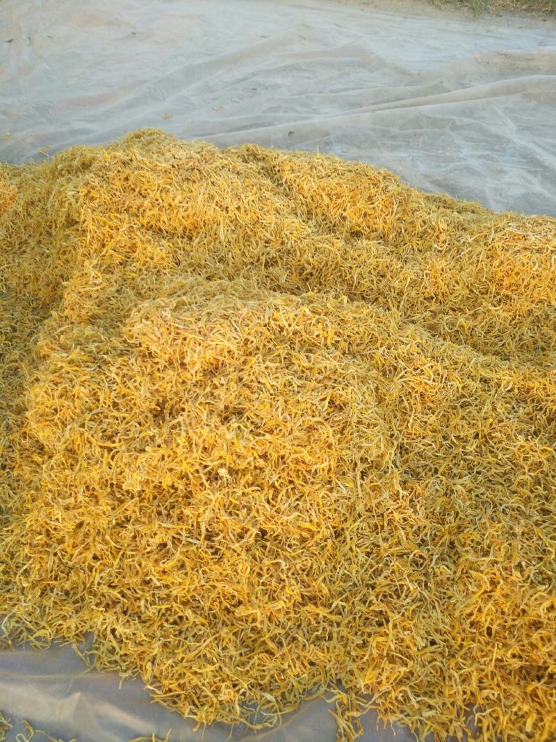 干黄花菜精品保鲜黄花菜颜色好干度干质量有保障