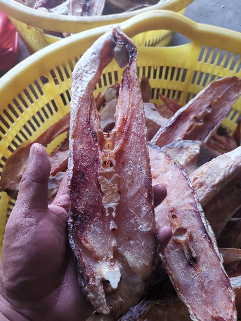 广西北海北部湾红鱼，墨鱼，马友干