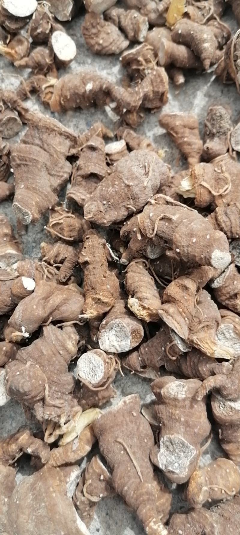 云南省大理州白药系列原料丶滇重楼丶白心，，