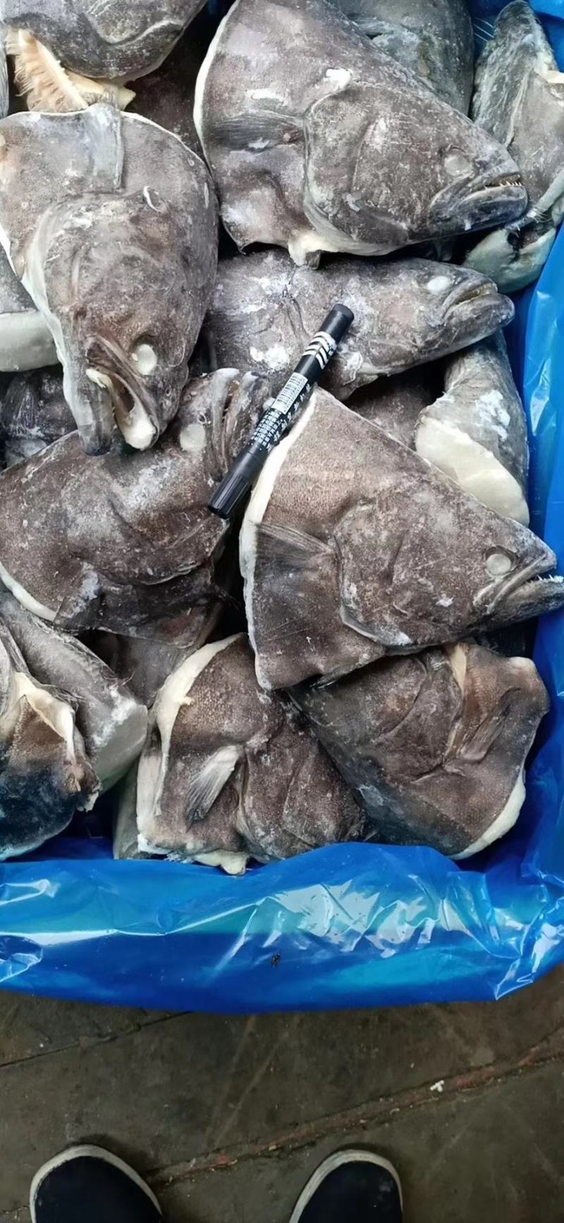 深海小鱼头质量刚刚的几块钱一个