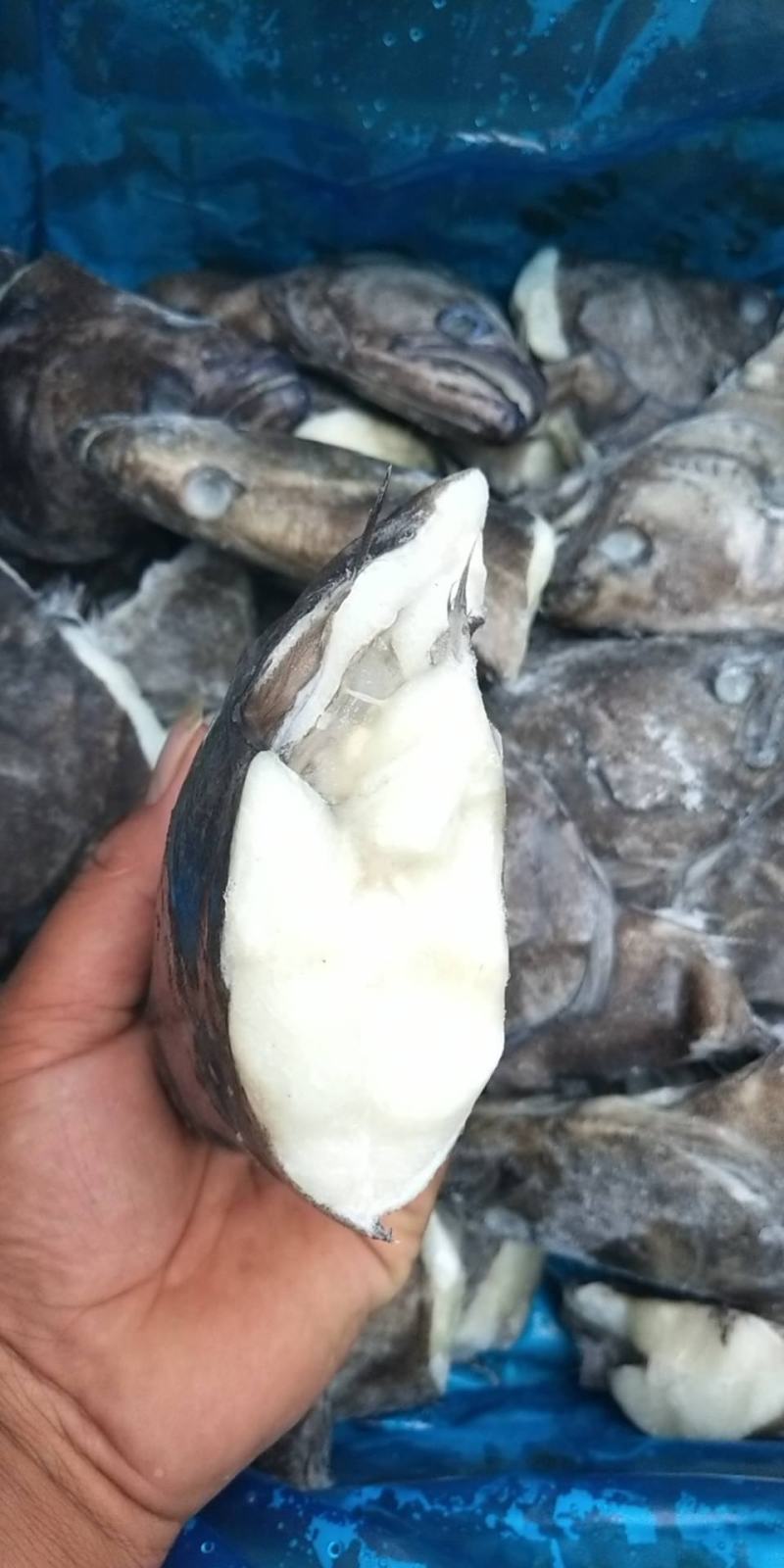 深海小鱼头质量刚刚的几块钱一个