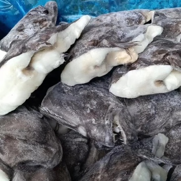深海小鱼头质量刚刚的几块钱一个