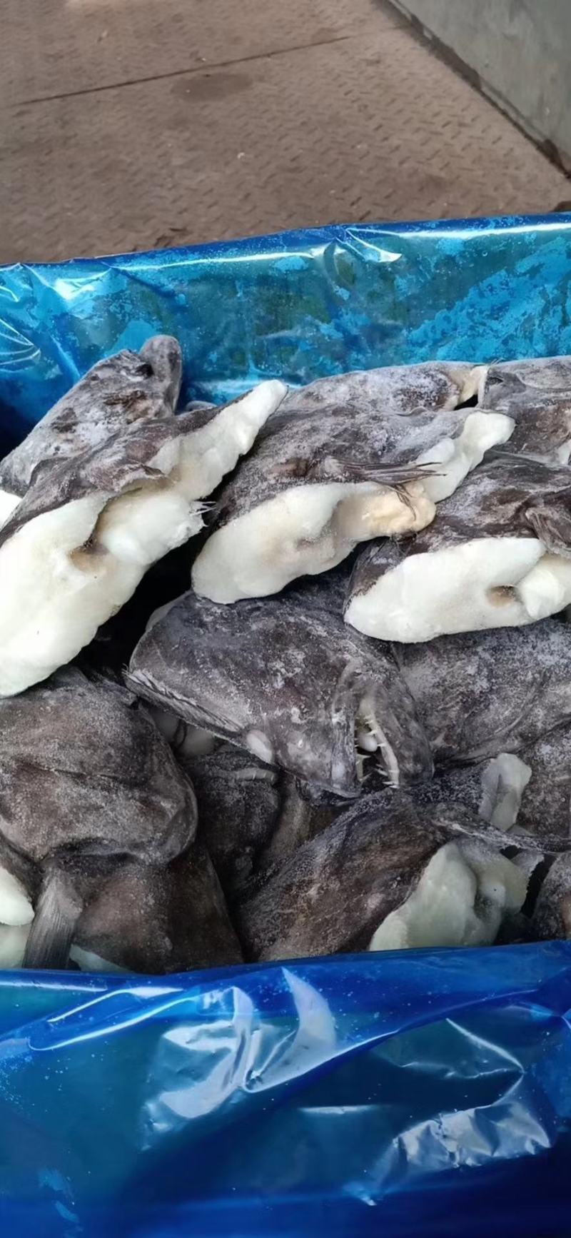 深海小鱼头质量刚刚的几块钱一个