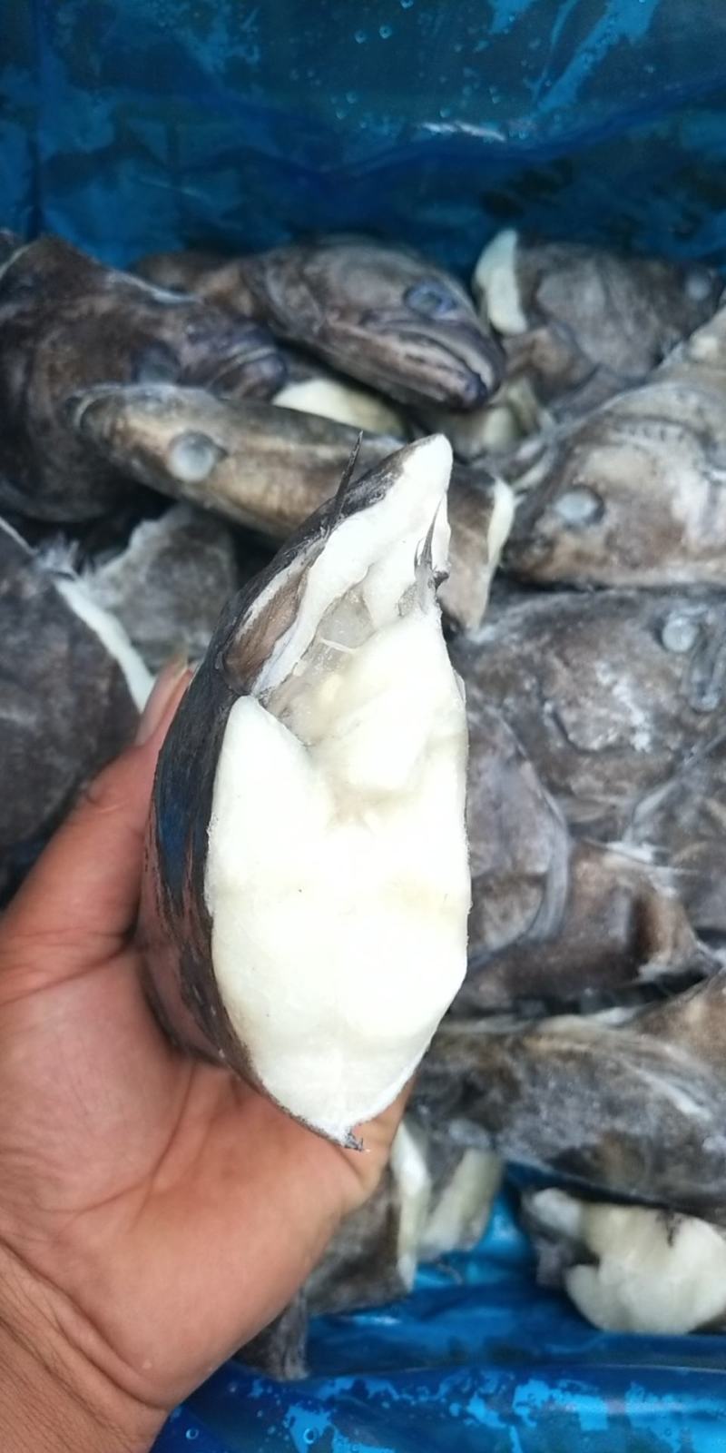 深海小鱼头质量刚刚的几块钱一个