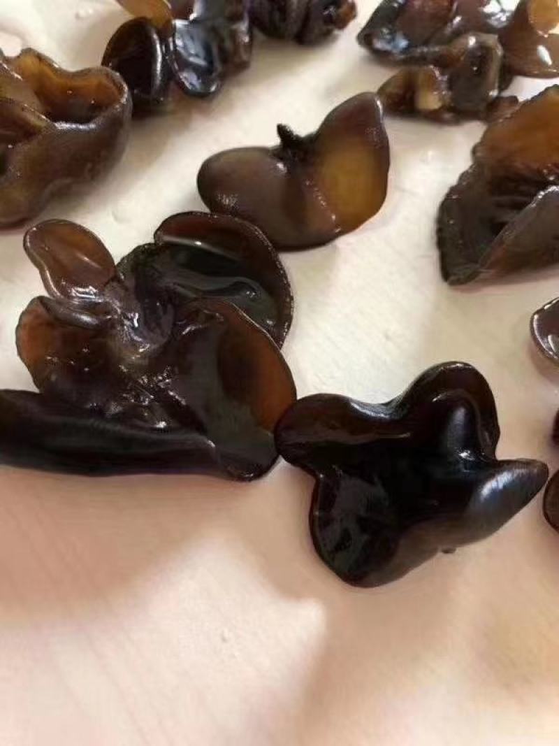 木耳，东北小木耳，1.2规格，泡发率高，地摊展会热销