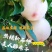 美人醉李子树苗优质嫁接李子树苗品种齐全量大从优