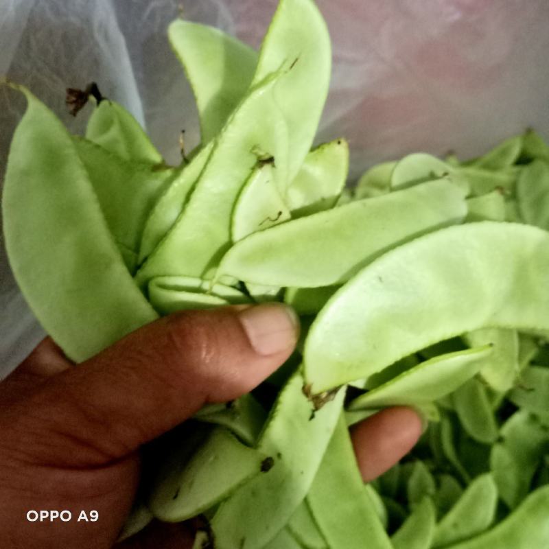 干豆角。梅豆角，梅豆角干，火锅必备，火锅店，地锅绝配