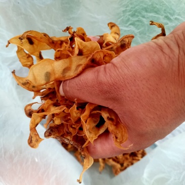 干豆角。梅豆角，梅豆角干，火锅必备，火锅店，地锅绝配