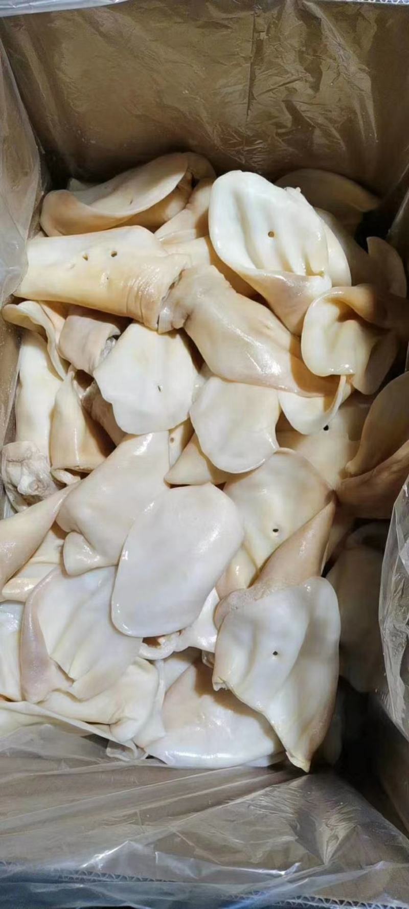 牛耳片！牛耳丝！现货！一手货源可发样品！