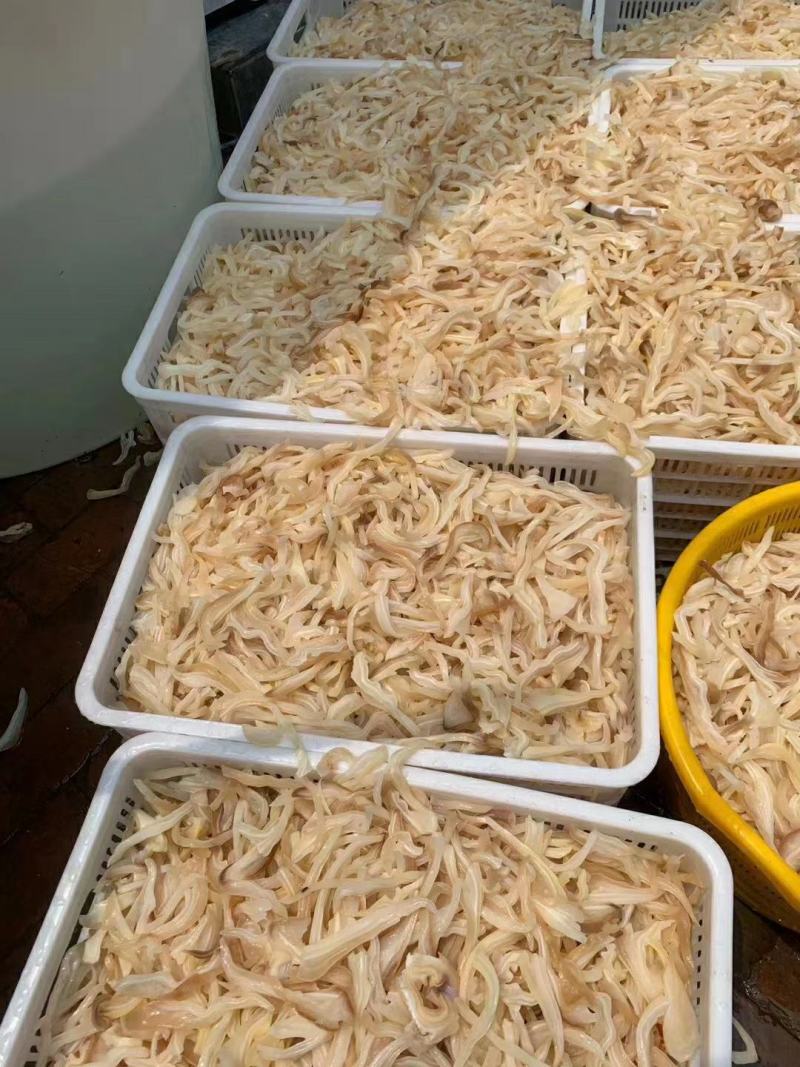牛耳片！牛耳丝！现货！一手货源可发样品！