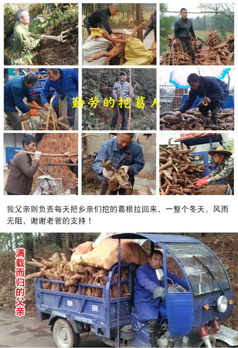 鲜葛根柴葛根大山葛根整个自己挖葛根片湿葛根批发