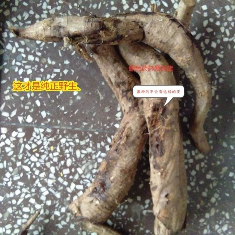 鲜葛根柴葛根大山葛根整个自己挖葛根片湿葛根批发