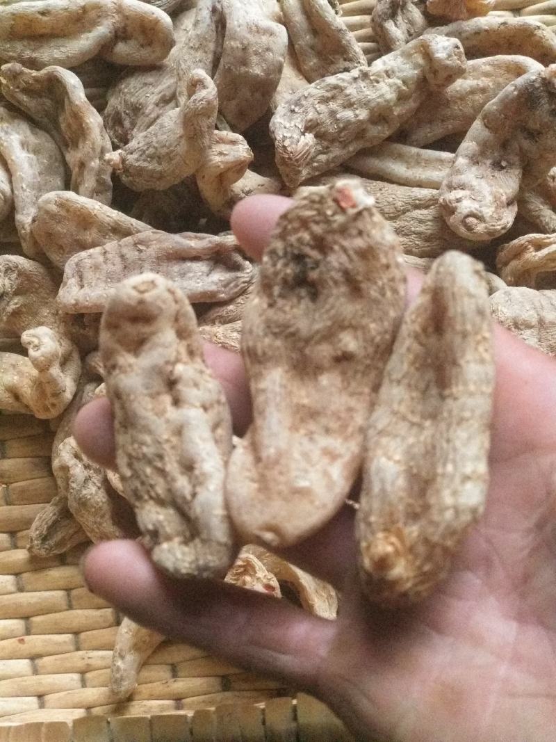 天麻无硫太阳晒干放心用品