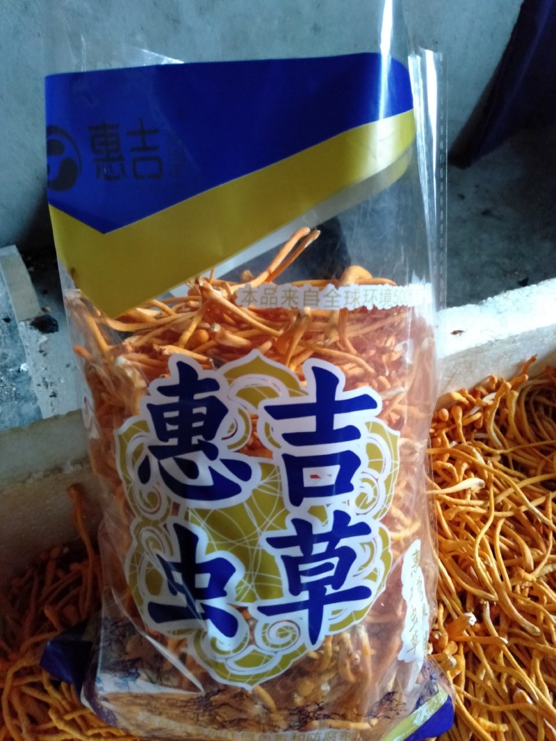 内蒙古地区干鲜虫草，手工精选，无杂质，滋补养生类食材，