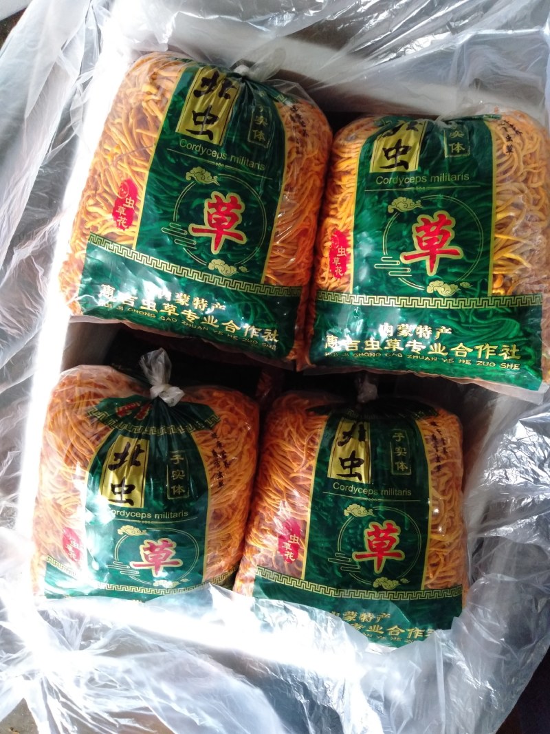 内蒙古地区干鲜虫草，手工精选，无杂质，滋补养生类食材，