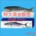 特大黄金鲅鱼深海鱼非金枪鱼也非马鲛鱼可做水饺鱼丸