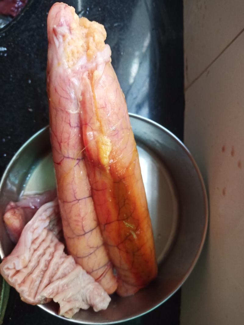 特大黄金鲅鱼深海鱼非金枪鱼也非马鲛鱼可做水饺鱼丸