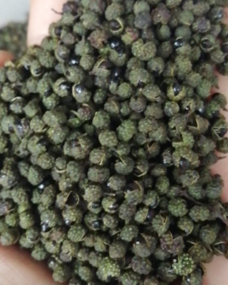 【精品】四川青麻花椒颜色好麻味好价格美丽欢迎联系