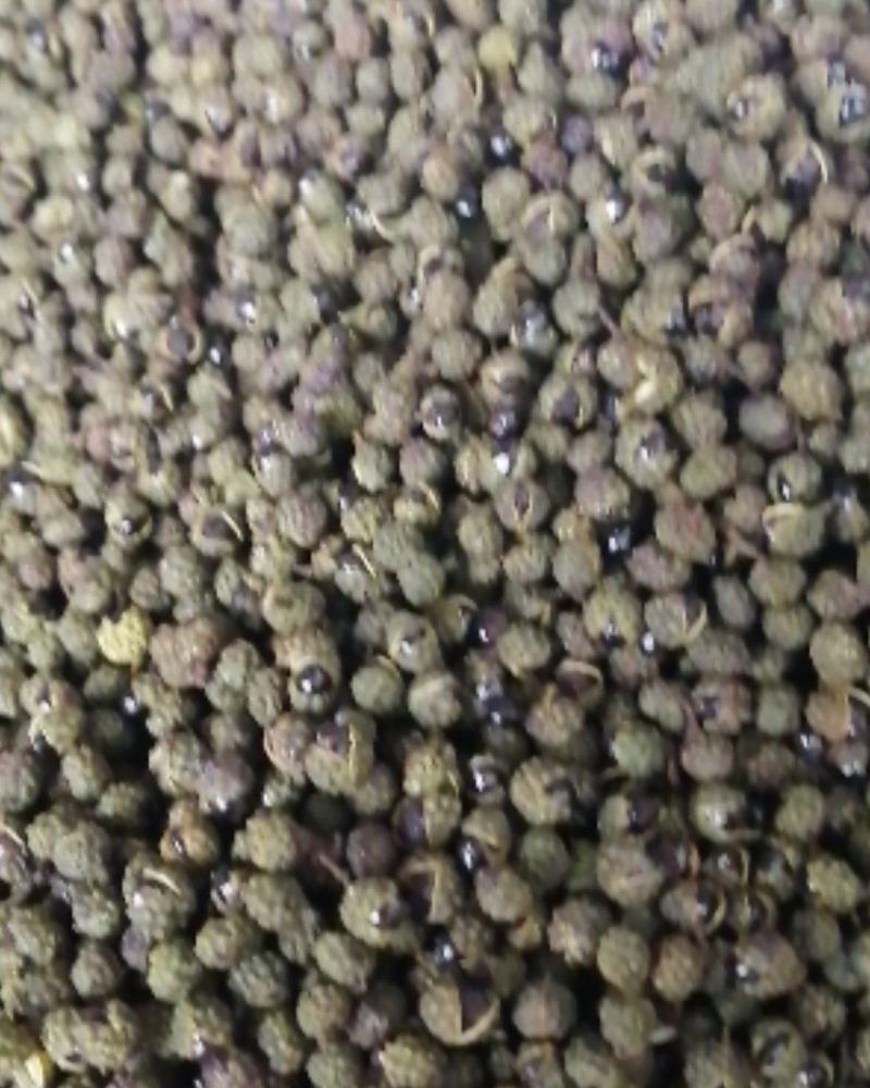【精品】四川青麻花椒颜色好麻味好价格美丽欢迎联系