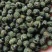【精品】四川青麻花椒颜色好麻味好价格美丽欢迎联系