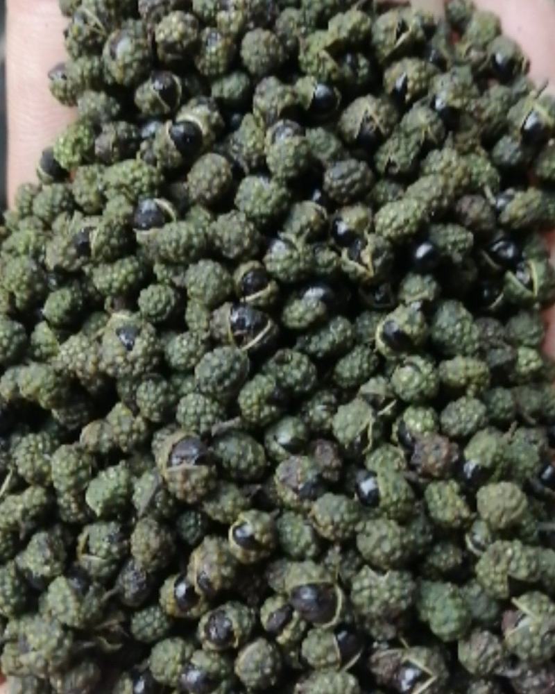 【精品】四川青麻花椒颜色好麻味好价格美丽欢迎联系