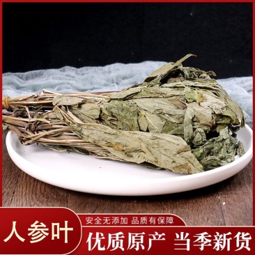 中药材人参叶吉林人参叶花中药