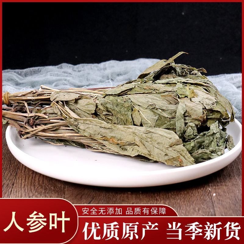 中药材人参叶吉林人参叶花中药