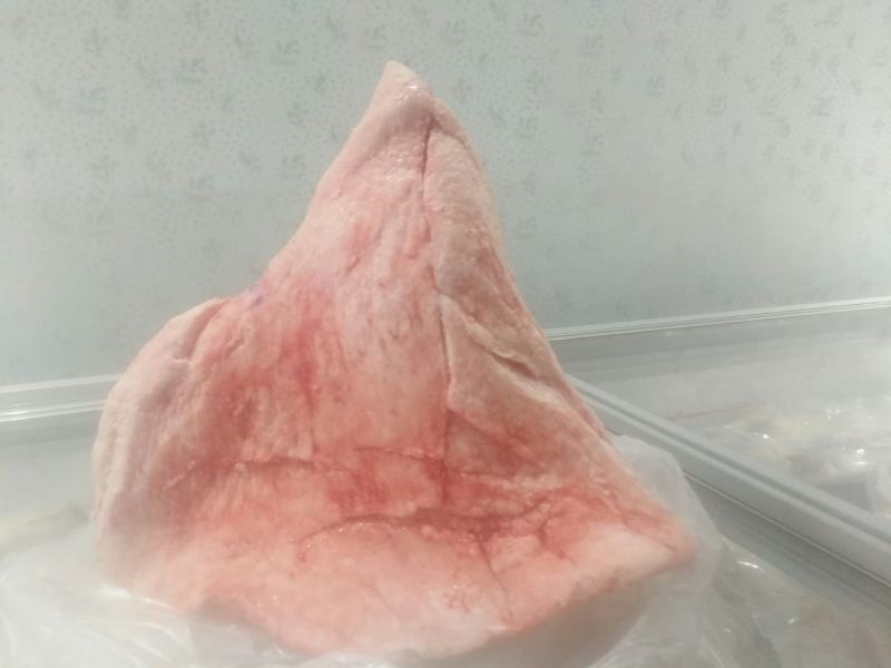 驼峰肉草原野外放养骆驼现宰五斤起拍400斤包邮