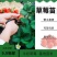 草莓苗，奶油红颜草莓脱毒苗基地直发提供技术指导包邮