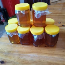 广西平南土蜂蜜，质量保证。产地直供，一手货源，全国包邮，