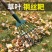 家用搂草筢子铁扒子钢耙子农具园林园艺工具树叶耙草爬草