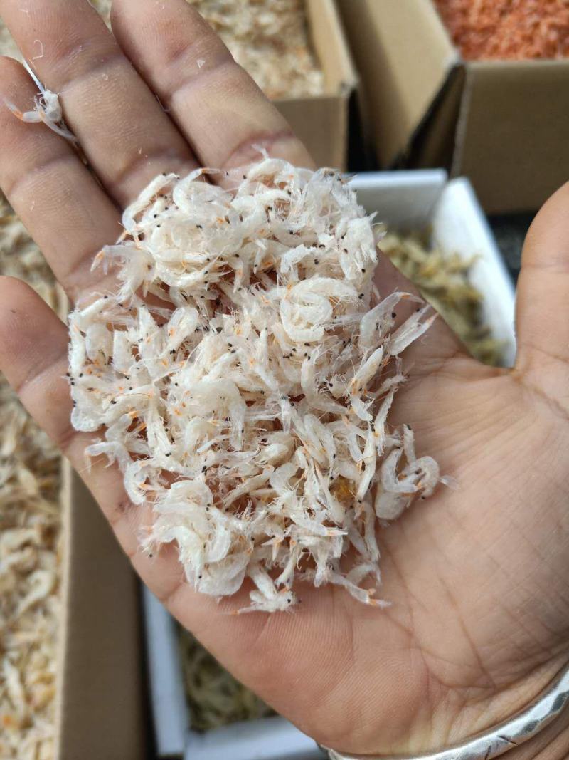 虾皮淡干无盐新货上市大量现货批发不包运费