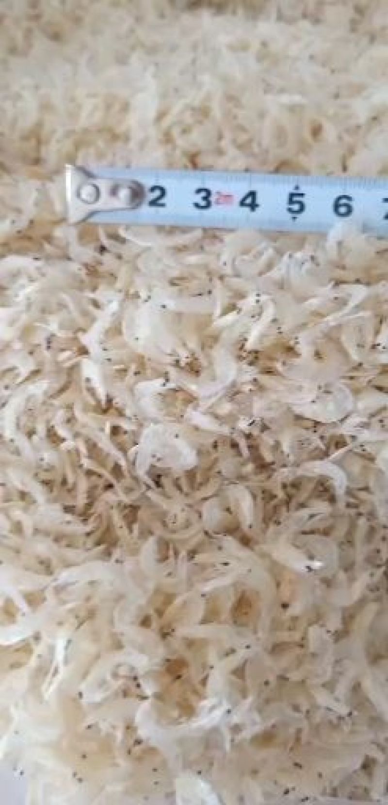 虾皮淡干无盐新货上市大量现货批发不包运费