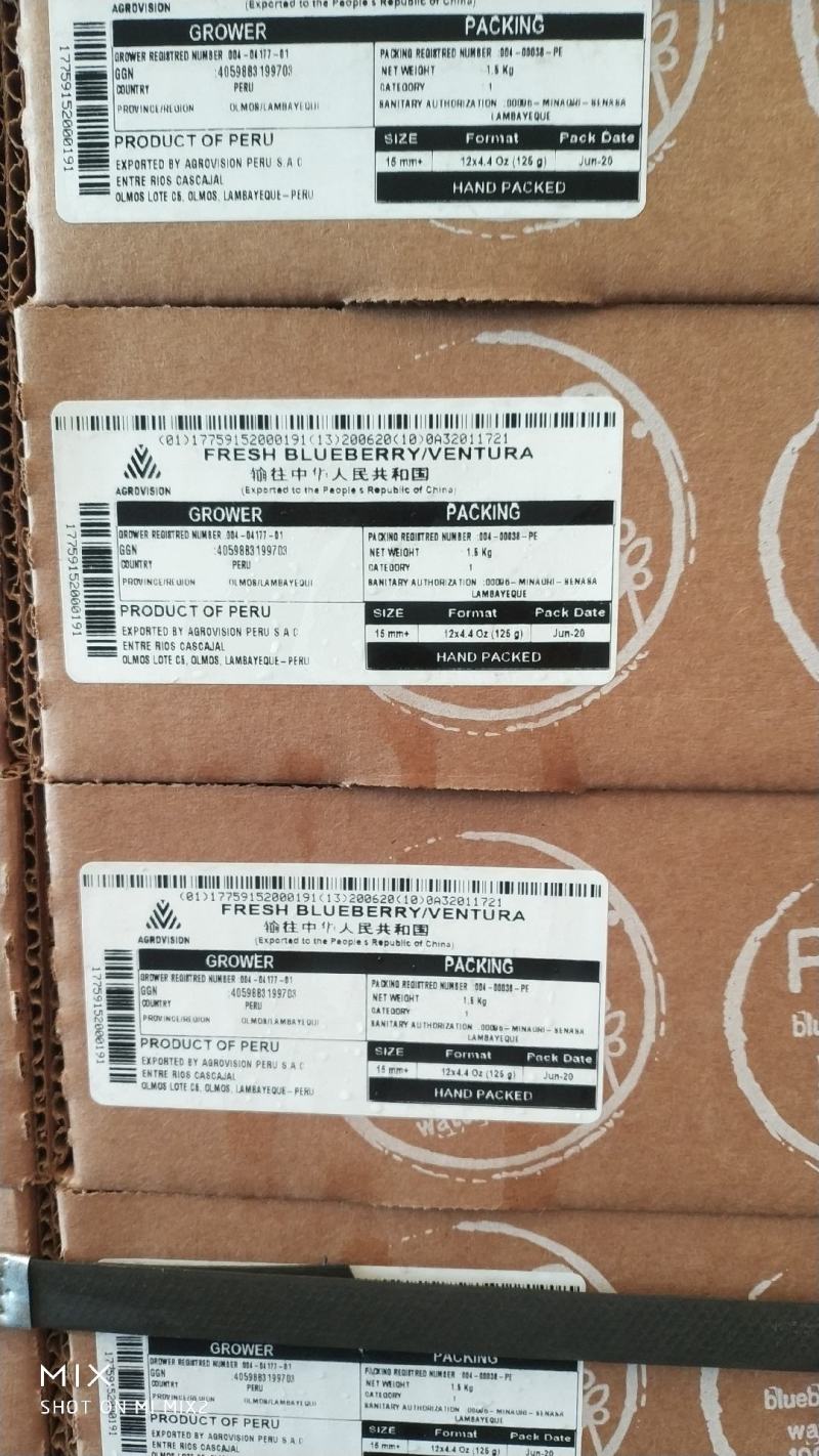 秘鲁蓝莓，海运到货，果粉好，吃口好，硬度好