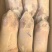白条鸭1000-1200克白条鸭厂家直销货源充足合作共赢