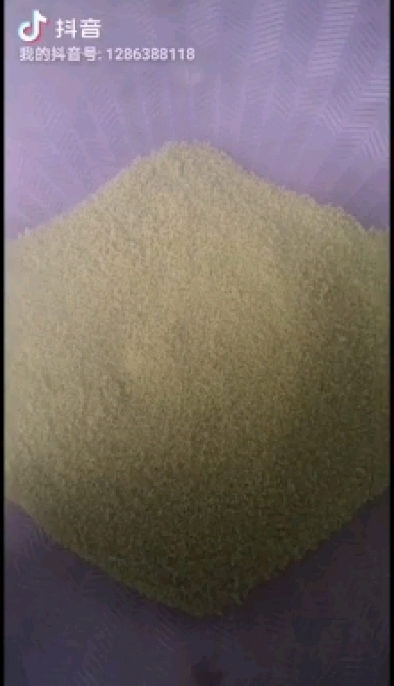 豆卵豆丹（豆虫）鲜活冷冻（鲜冻熟冻）