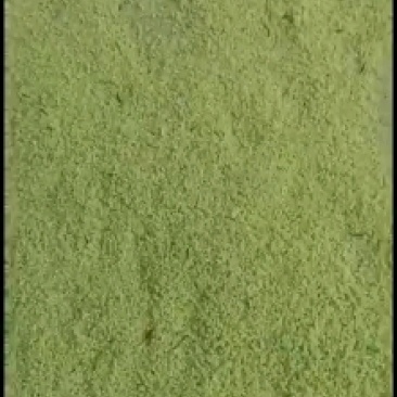 豆卵豆丹（豆虫）鲜活冷冻（鲜冻熟冻）
