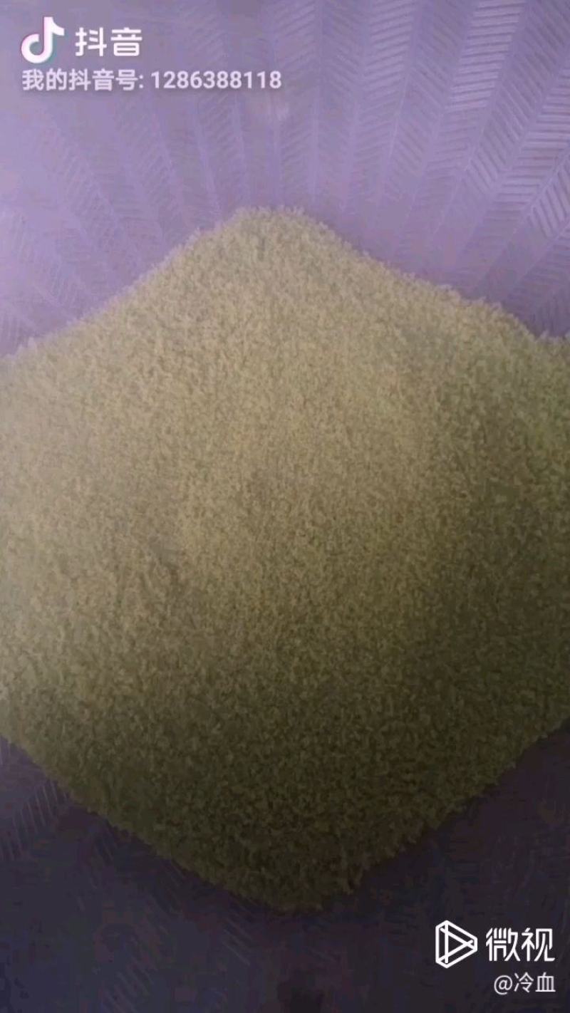 豆卵豆丹（豆虫）鲜活冷冻（鲜冻熟冻）