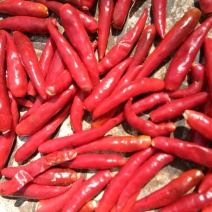 三英辣椒，大量上市了，